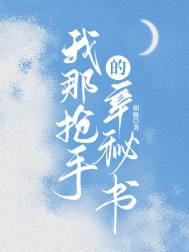 《我那抢手的辛秘书》封面