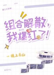 《组合解散，我爆红了！》封面