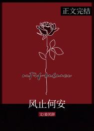 《风止何安》封面