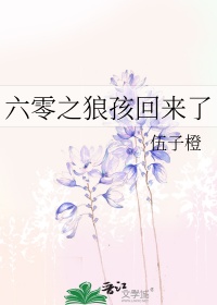 《六零之狼孩回来了》封面