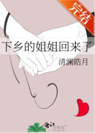 《下乡的姐姐回来了》封面