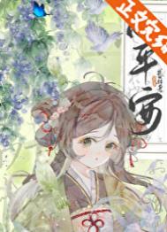《小平安》封面