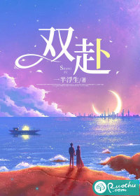 《双赴》封面