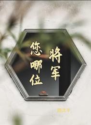 《将军，您哪位？》封面