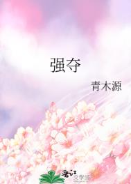 《强夺》封面