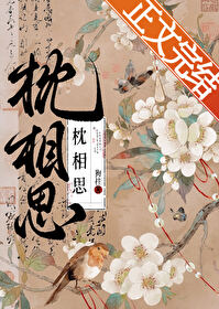 《枕相思》封面