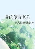 《我的便宜老公》封面