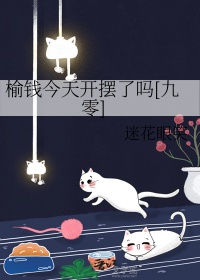 《榆钱今天开摆了吗[九零]》封面
