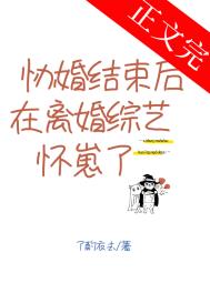 《协婚结束后在离婚综艺怀崽了》封面