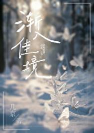 《渐入佳境》封面