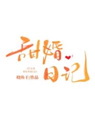 《甜婚日记》封面