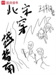 《北宋穿越指南》封面