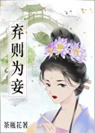 《弃则为妾》封面