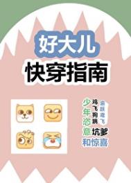 《好大儿快穿指南》封面