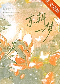 《京朝一梦》封面