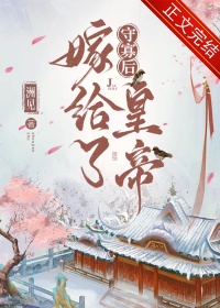 《守寡后嫁给了皇帝》封面