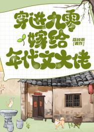 《穿进九零嫁给年代文大佬》封面