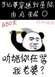 《听说你在骂我老婆？》封面