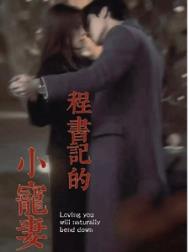 《程书记的小宠妻》封面
