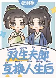 《双生夫郎互换人生后》封面