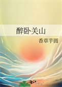 《醉卧关山》封面