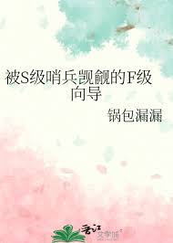 《被S级哨兵觊觎的F级向导》封面