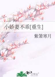 《小娇妻不乖[重生]》封面