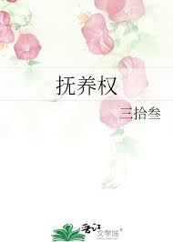 《抚养权》封面