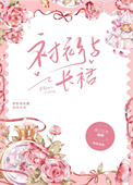 《衬衫与长裙[先婚后爱]》封面