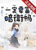 《一定要当暗卫吗》封面