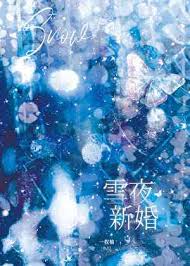 《雪夜新婚》封面