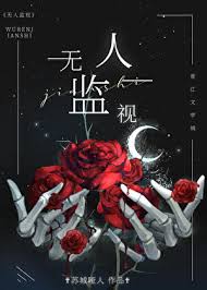 《无人监视》封面