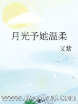 《月光予她温柔》封面