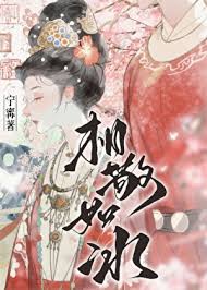 《相敬如冰（重生）》封面