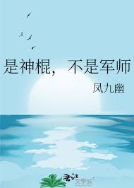 《是神棍，不是军师》封面