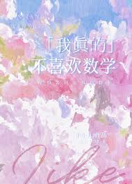 《我真的不喜欢数学》封面