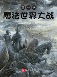 《第一次魔法世界大战》封面
