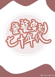 《饕餮穿到七十年代》封面