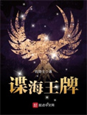 《谍海王牌》封面