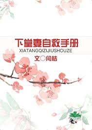 《下堂妻自救手册》封面