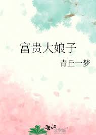 《富贵大娘子》封面