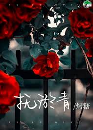 《抚淤青》封面