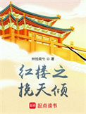 《红楼之挽天倾》封面