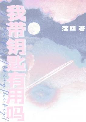 《我带钥匙有用吗》封面