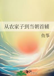《从农家子到当朝首辅》封面