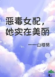 《恶毒女配，但她实在美丽》封面
