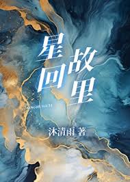 《星回故里》封面