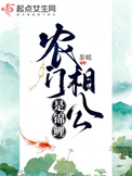 《农门相公是锦鲤》封面