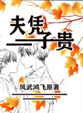 《夫凭子贵》封面