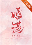 《误入婚途》封面